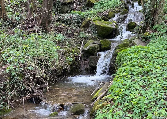 Lejlighed La Serra *